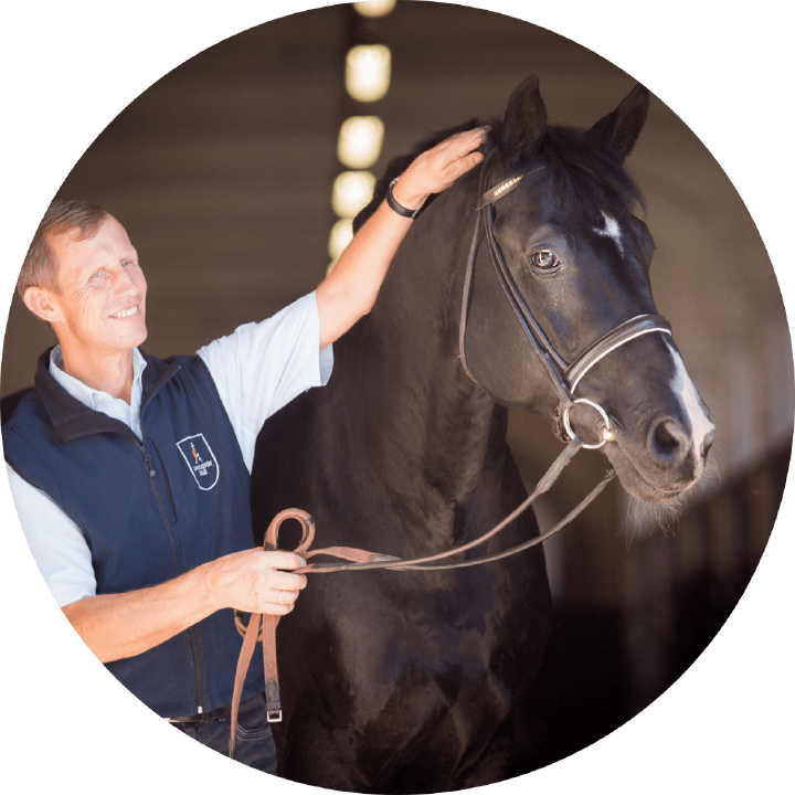 landgestuet celle derby community einstiegsbild